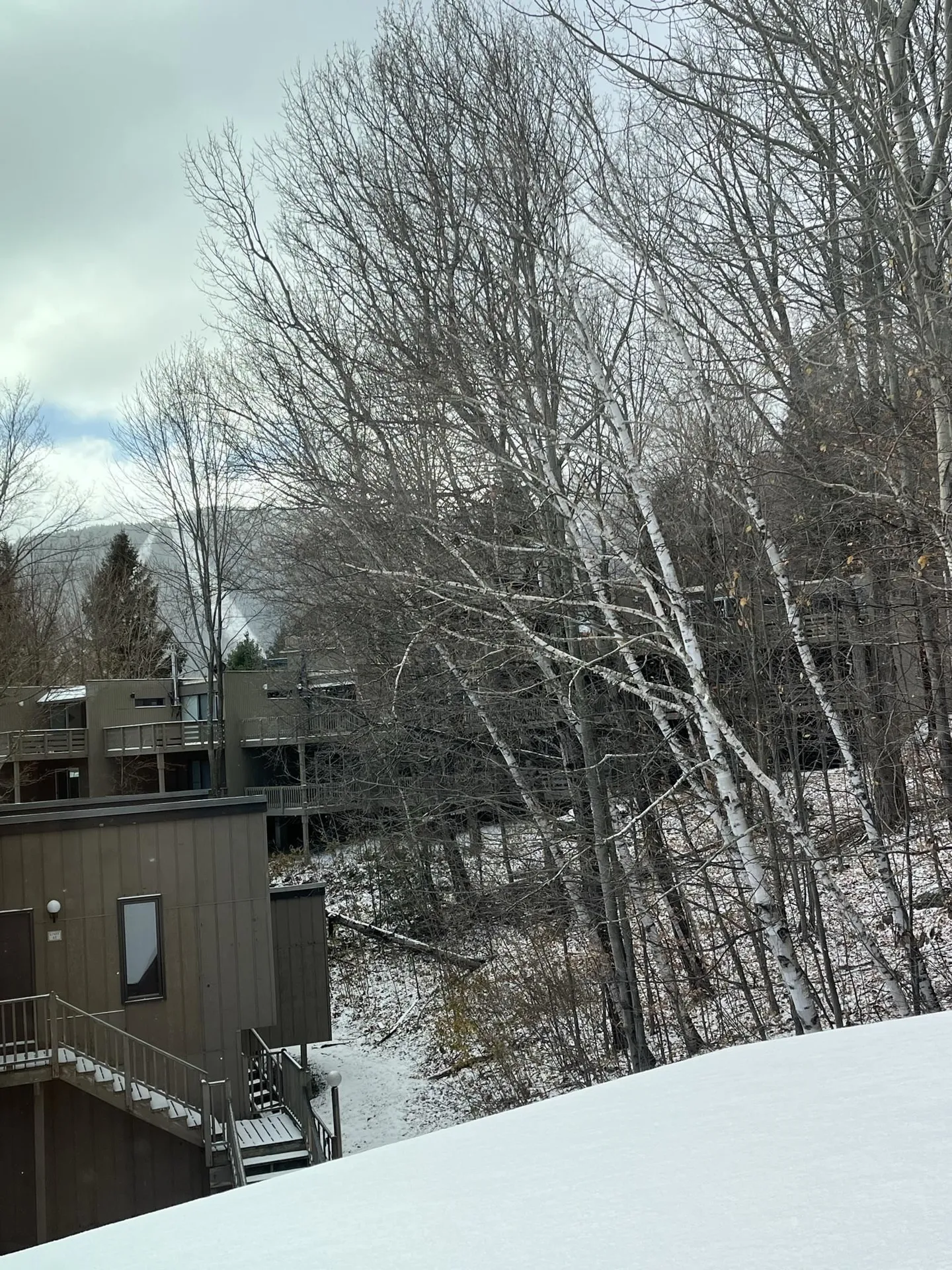 16 Hobbit Hill Warren VT 05674