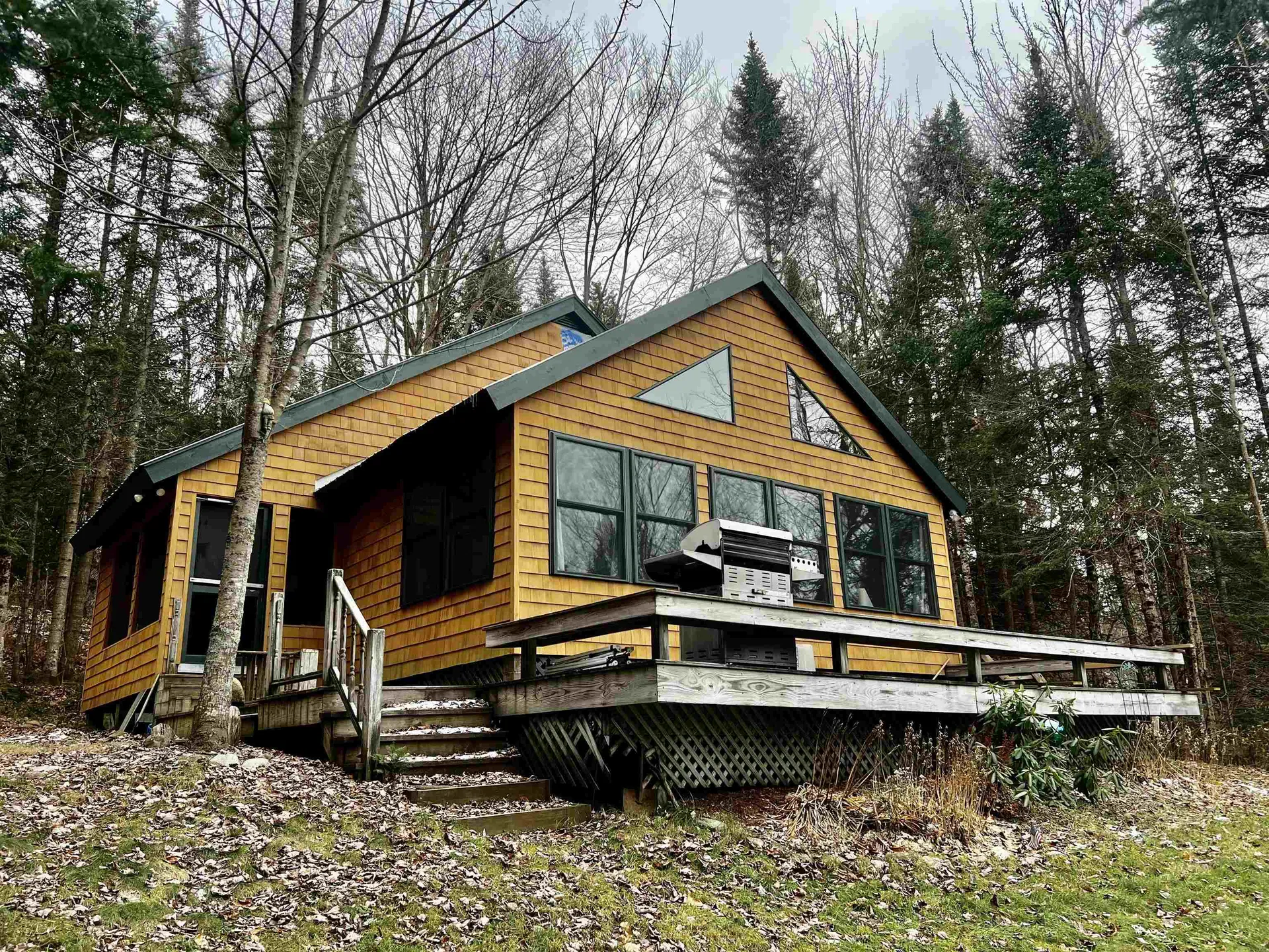 98 Howe Drive Eden VT 05653