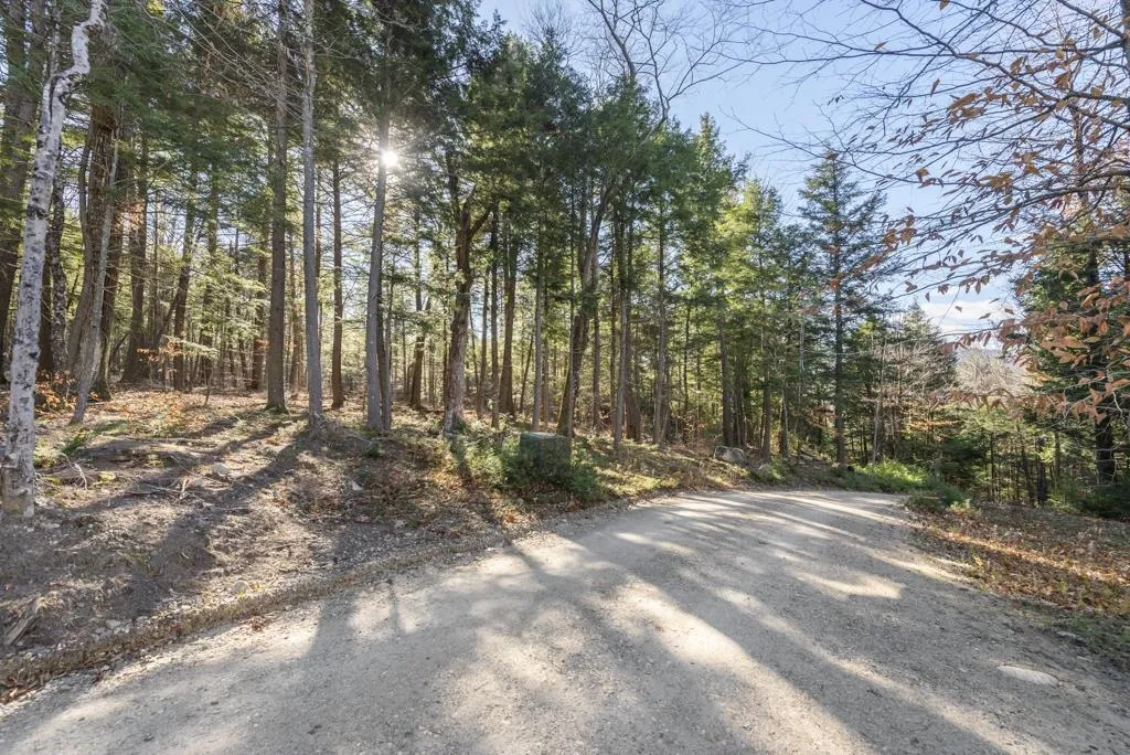 552 Coolidge Woods Road New Hampton NH 03256