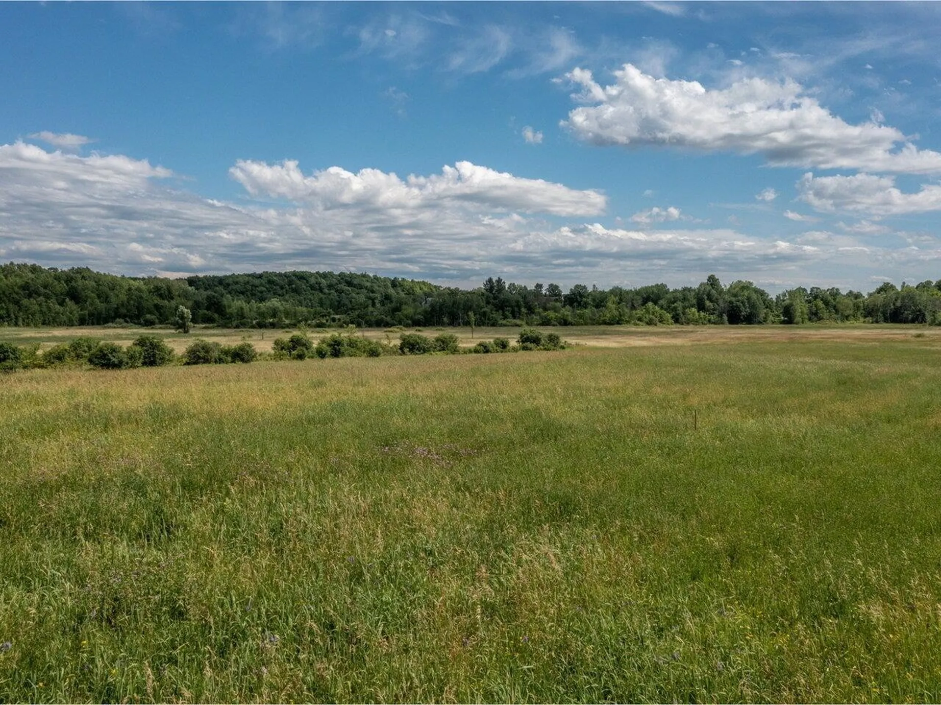 5997 Dorset Street Shelburne VT 05482