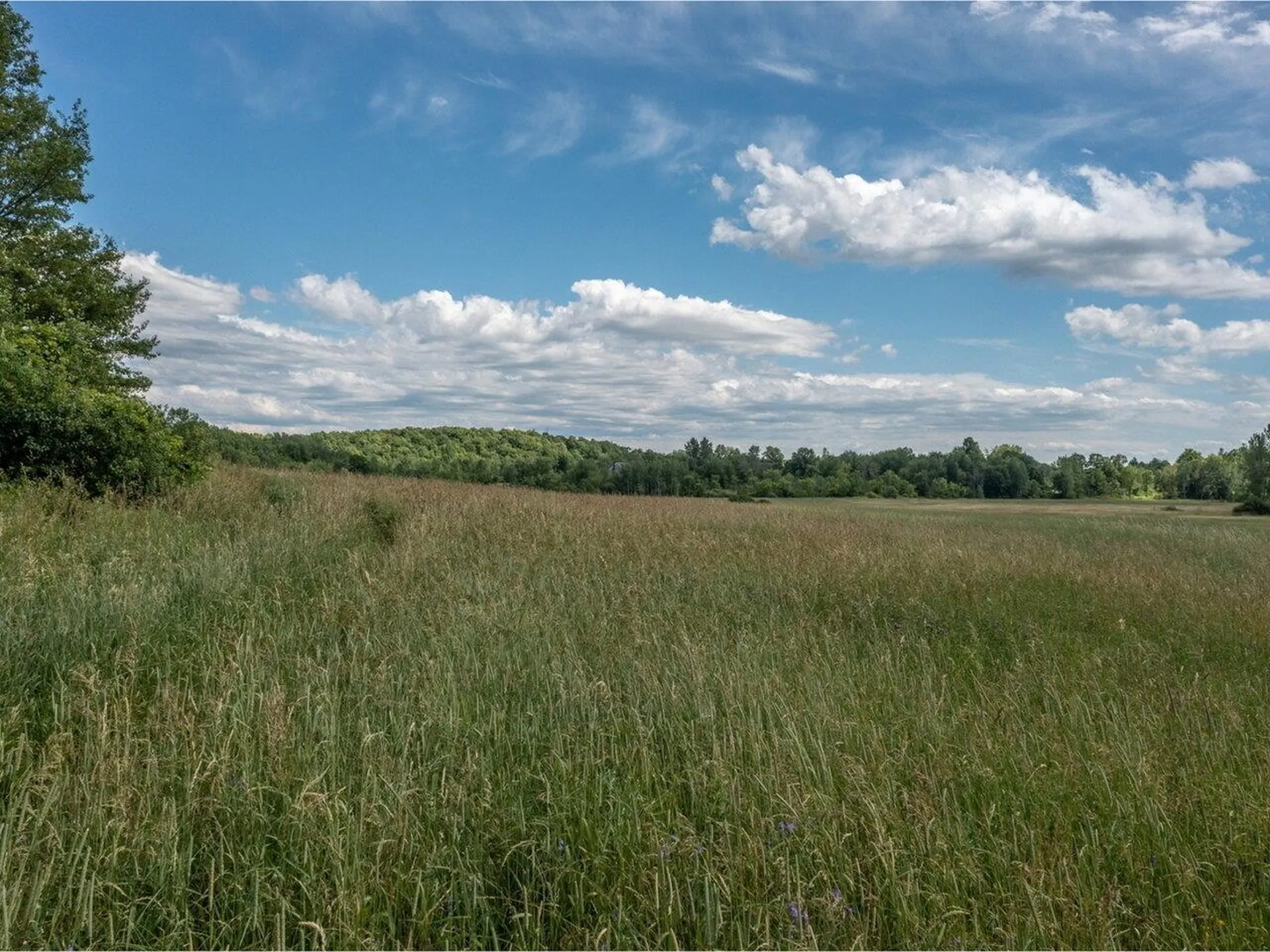 5995 Dorset Street Shelburne VT 05482