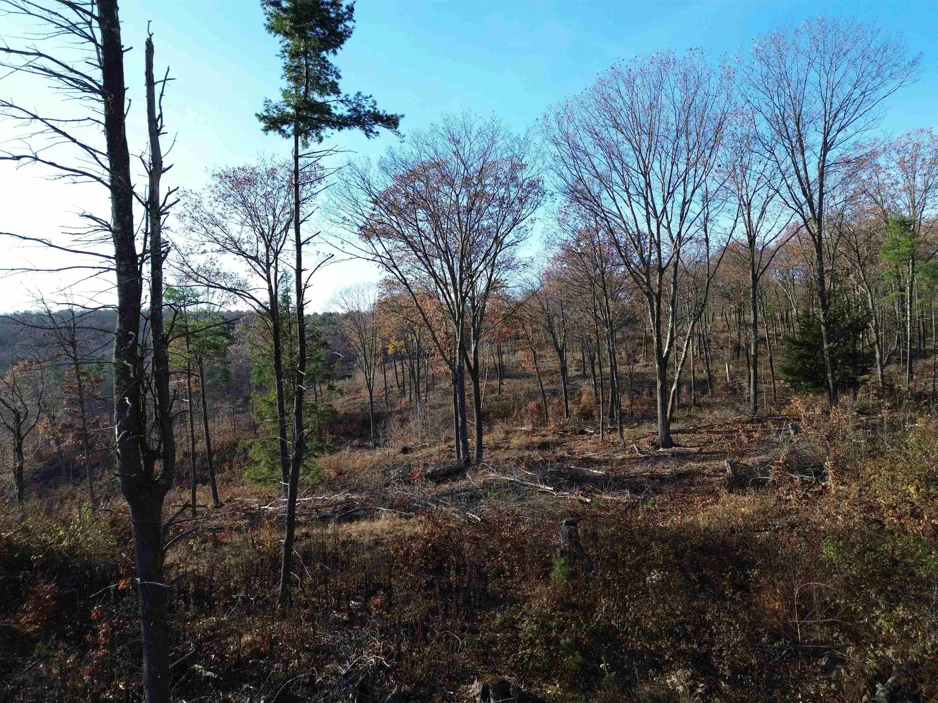 0 Parker Hill Road Rockingham VT 05101