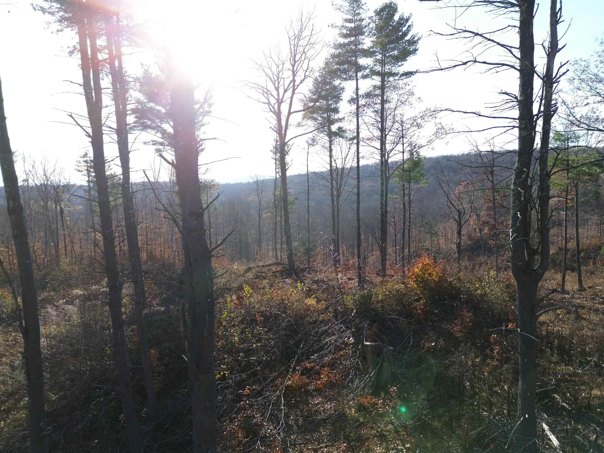 0 Parker Hill Road Rockingham VT 05101