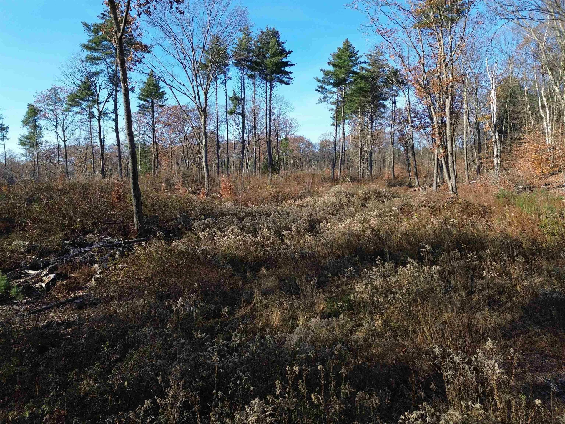 0 Parker Hill Road Rockingham VT 05101