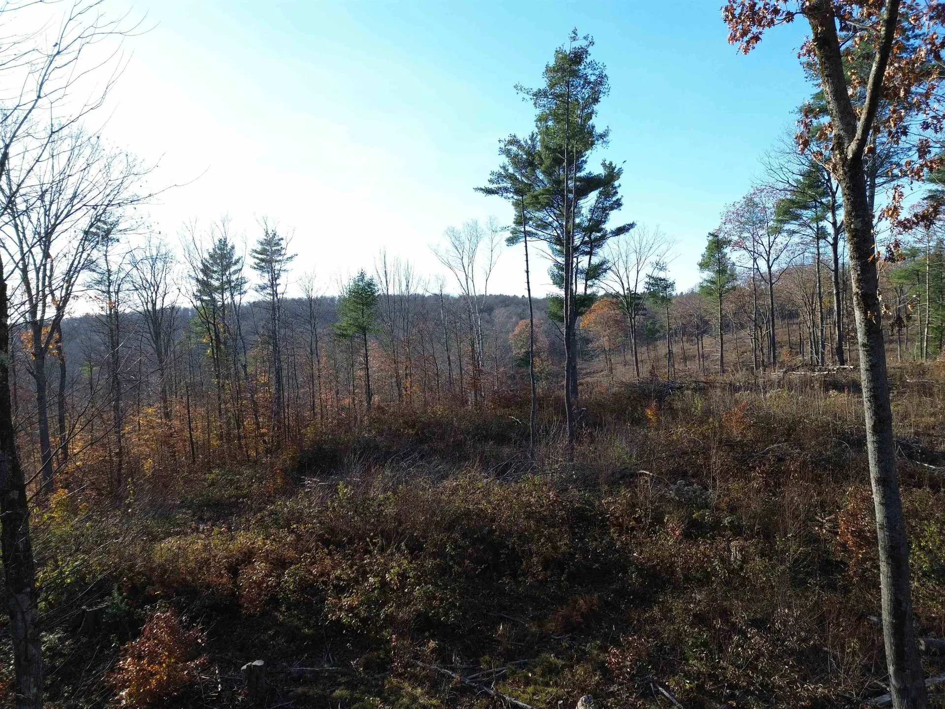 0 Parker Hill Road Rockingham VT 05101