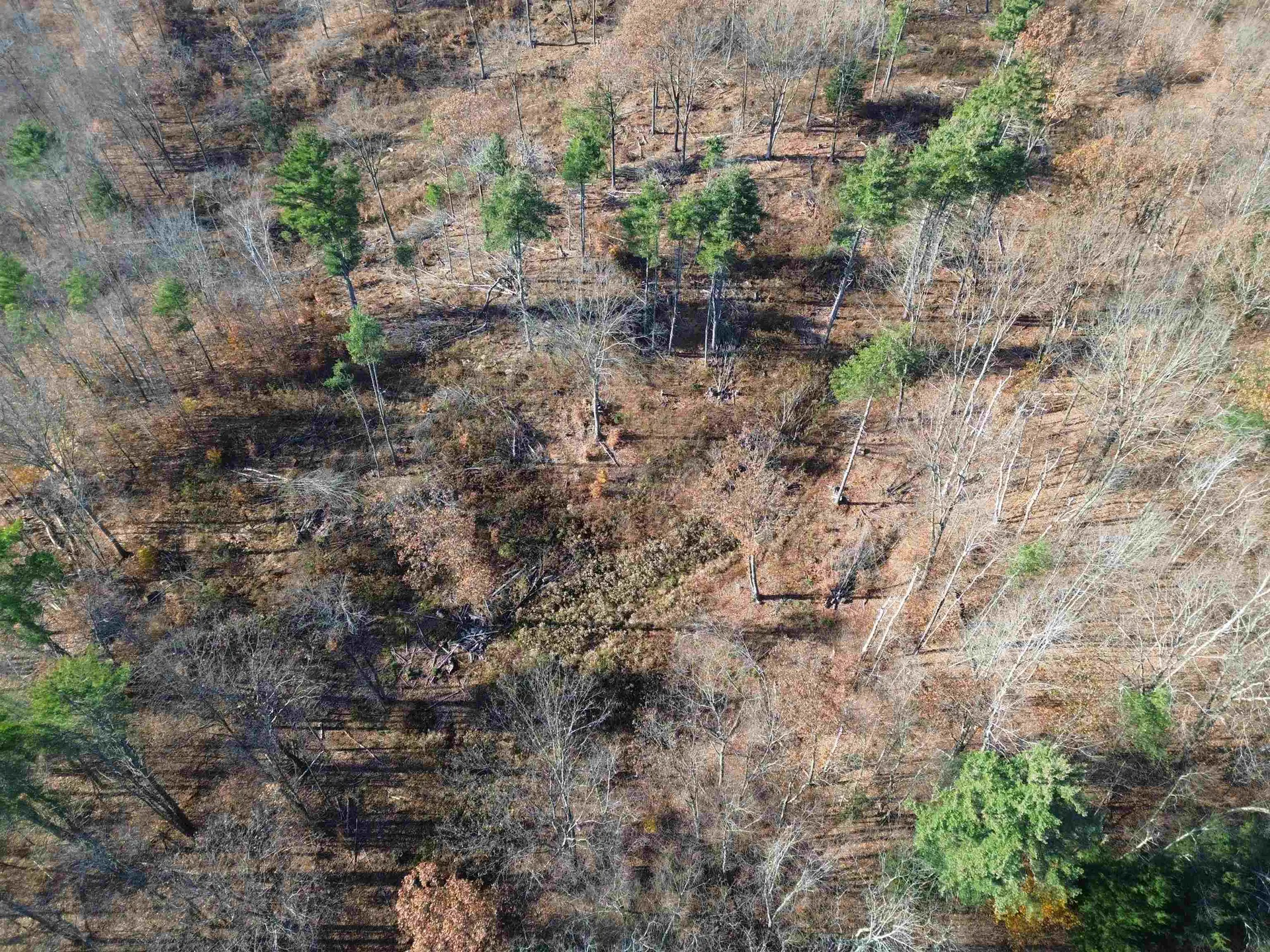0 Parker Hill Road Rockingham VT 05101