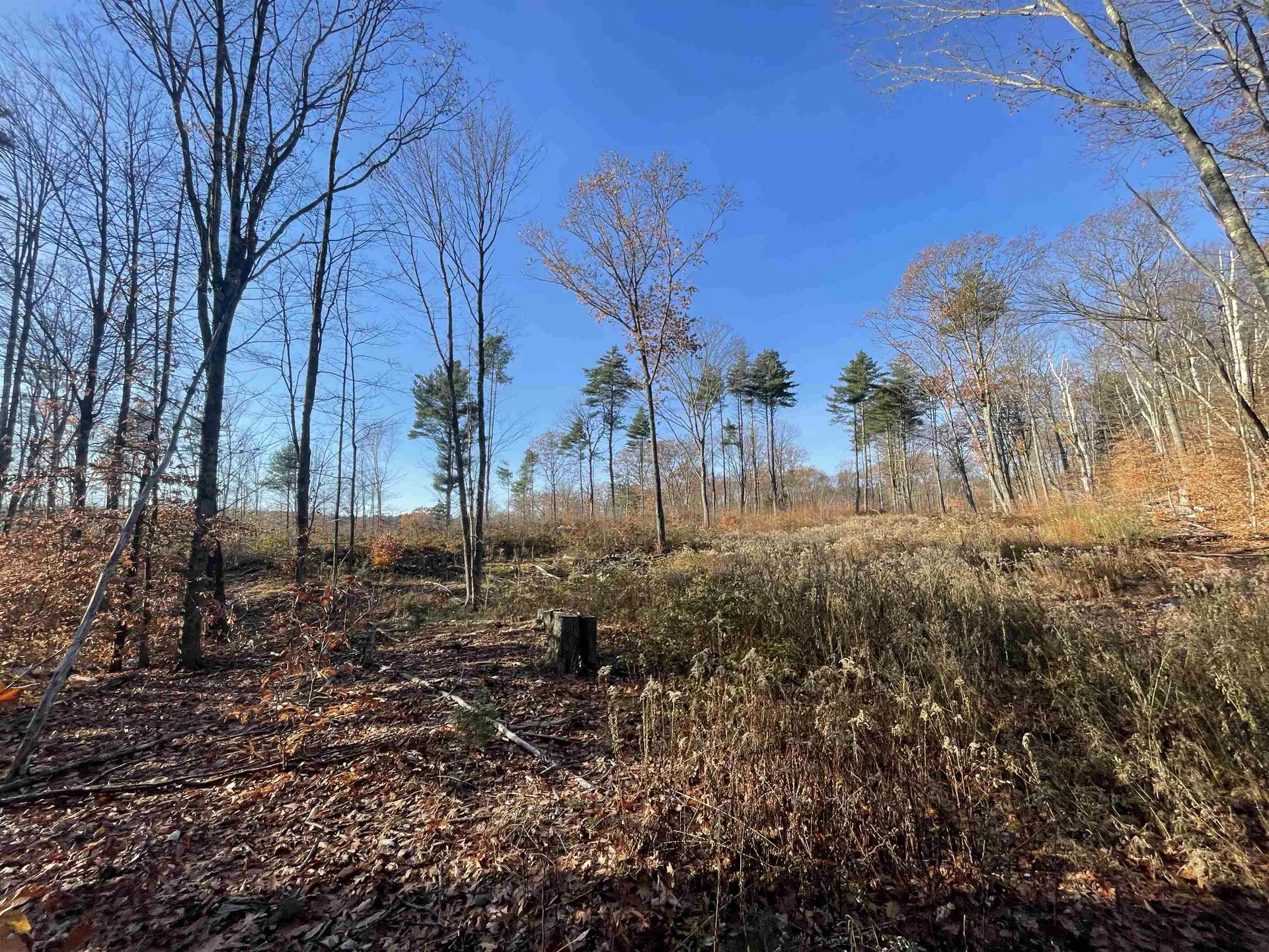 0 Parker Hill Road Rockingham VT 05101