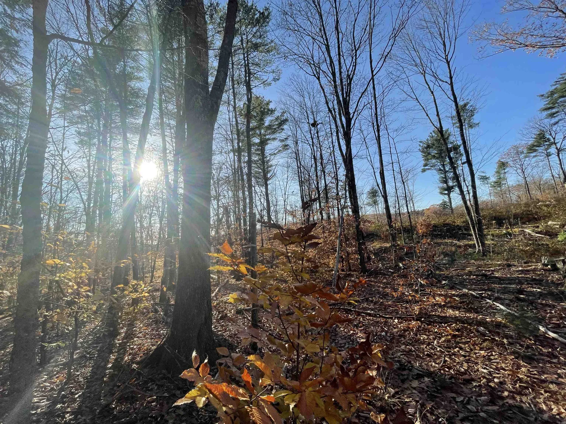 0 Parker Hill Road Rockingham VT 05101