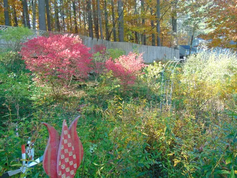 41 Base Hill Road Keene NH 03431