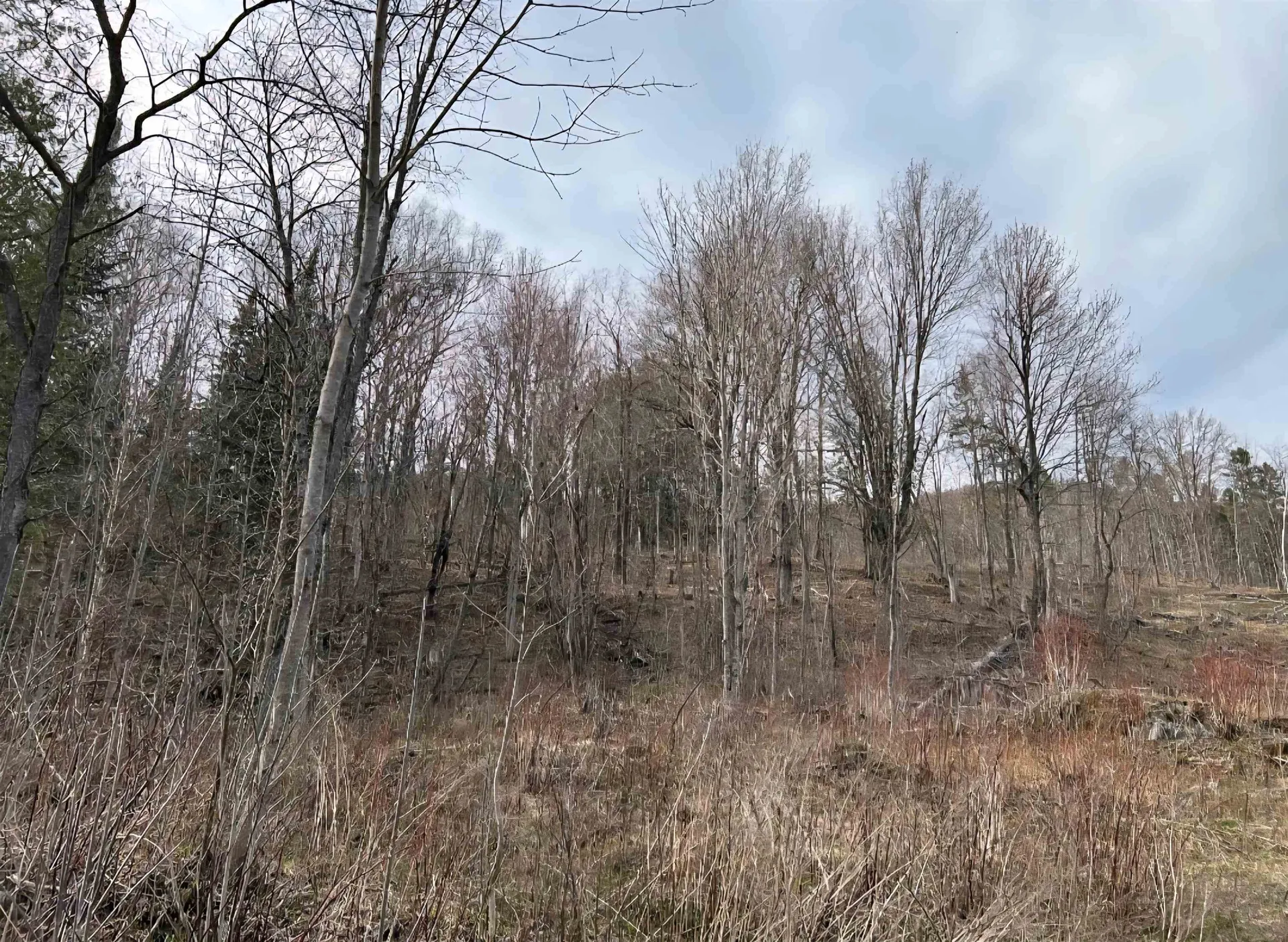 1837 River Road Canaan VT 05903