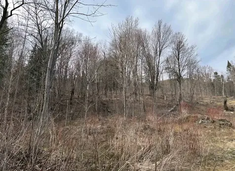 1837 River Road Canaan VT 05903