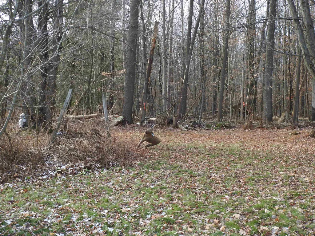 1093 Ethan Allen Highway Georgia VT 05454