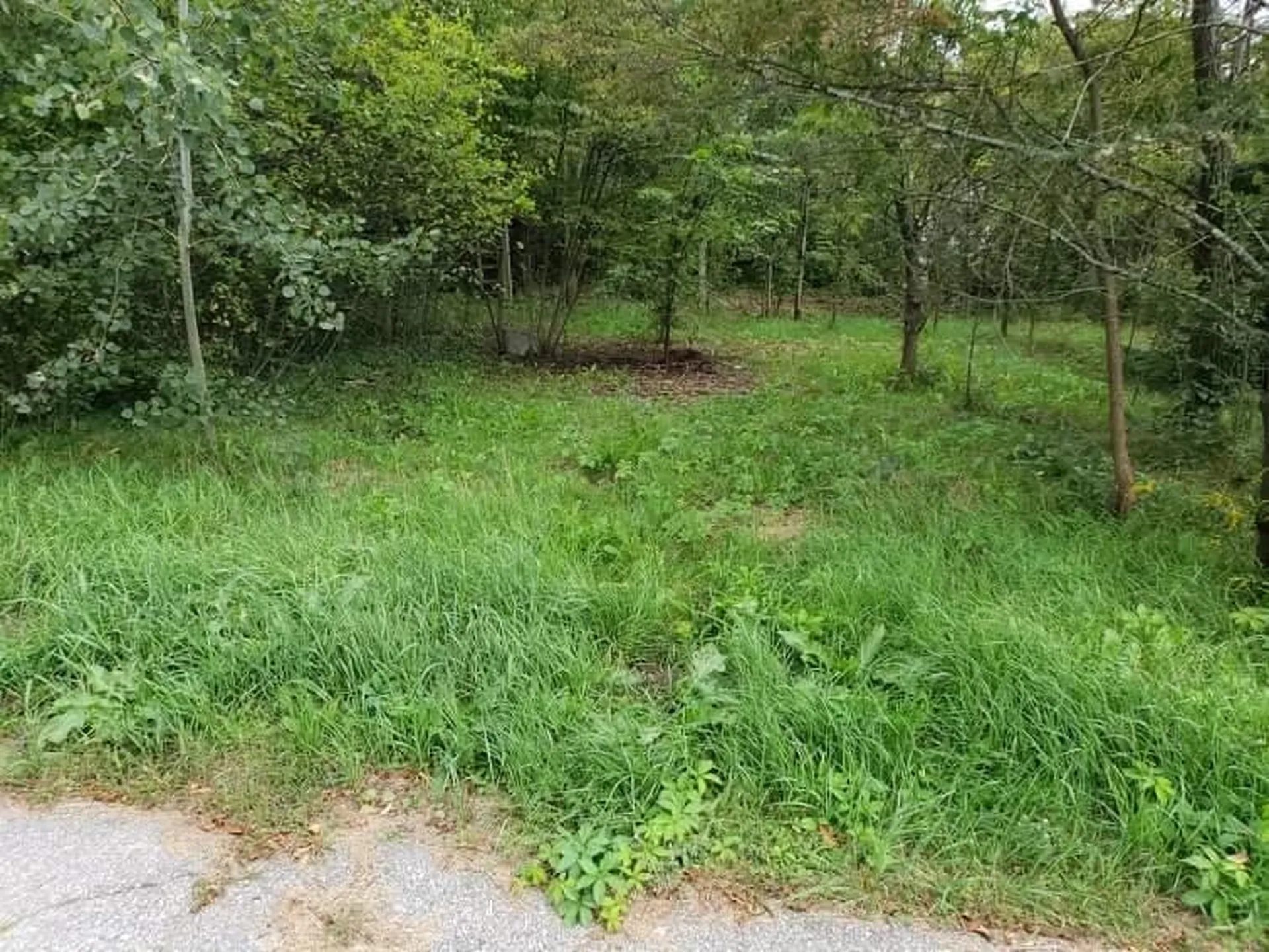 0 Otis Street Whitefield NH 03598
