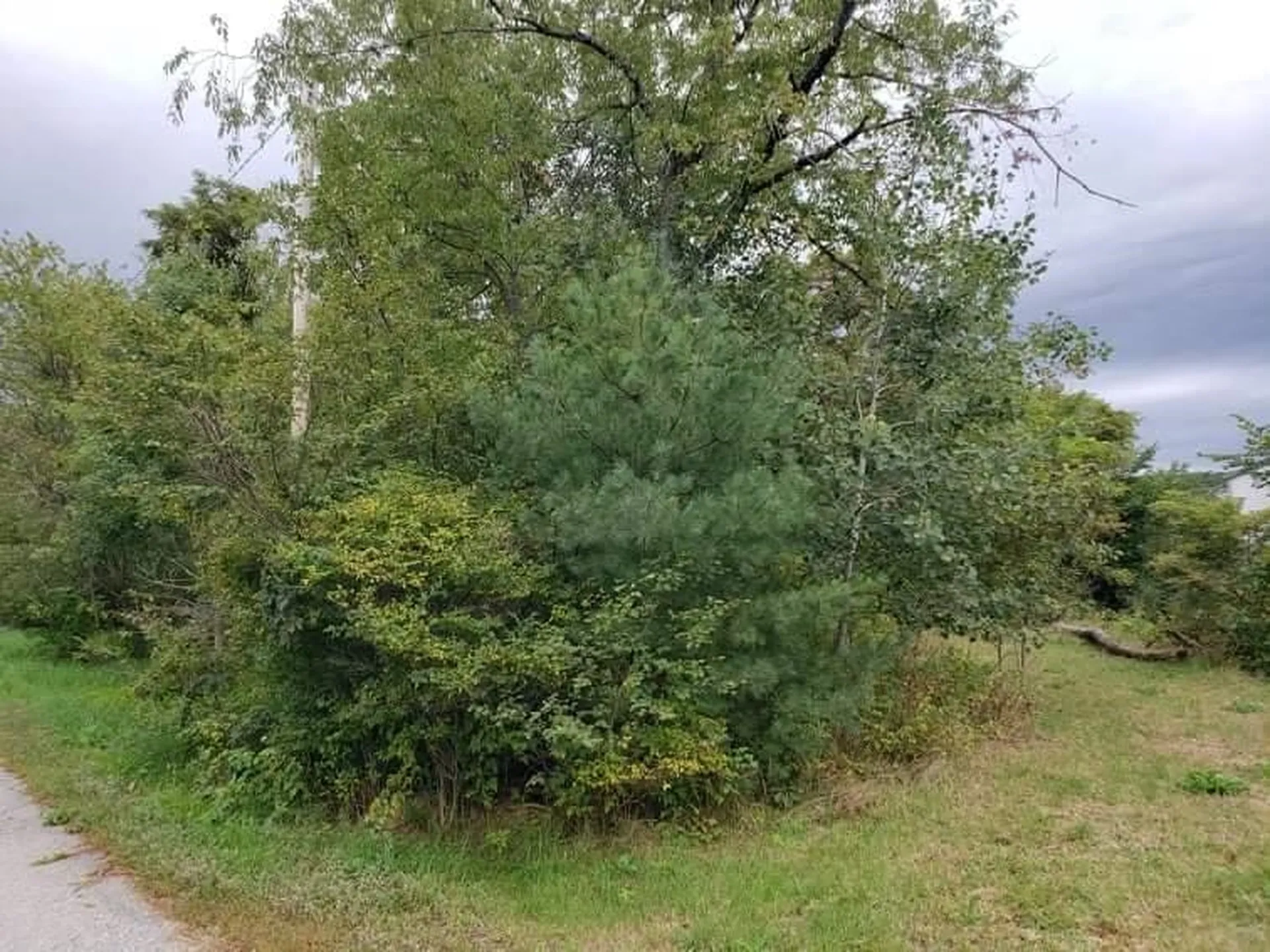 0 Otis Street Whitefield NH 03598