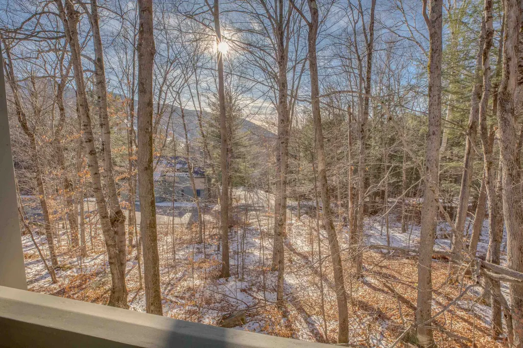 119 Clearbrook Road Lincoln NH 03251