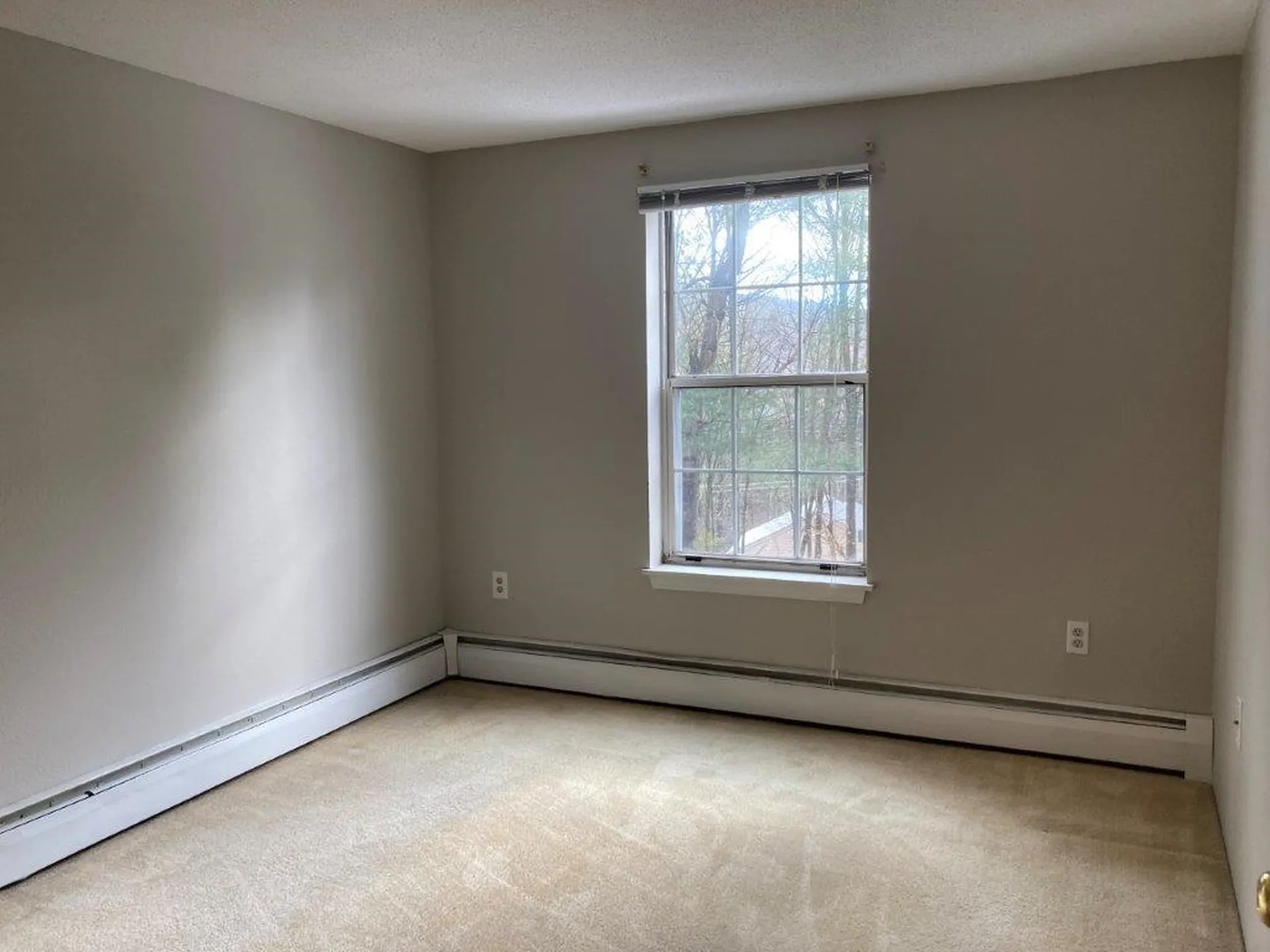 20 Wolf Road Lebanon NH 03766