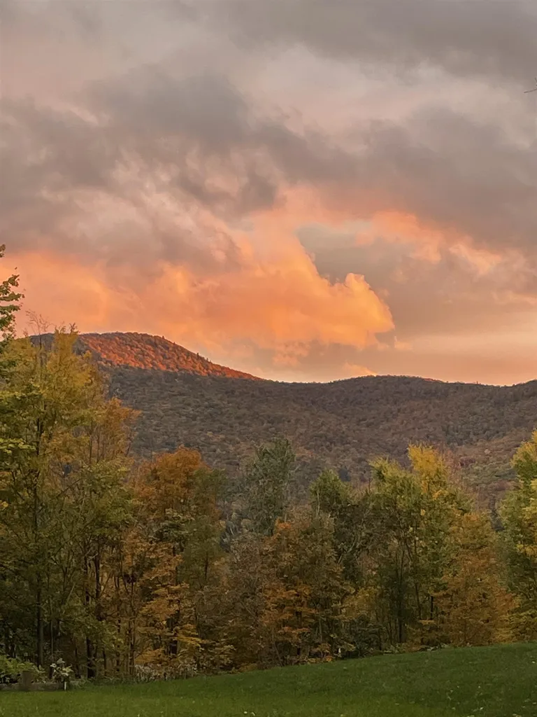 225 Danforth Drive Dorset VT 05251