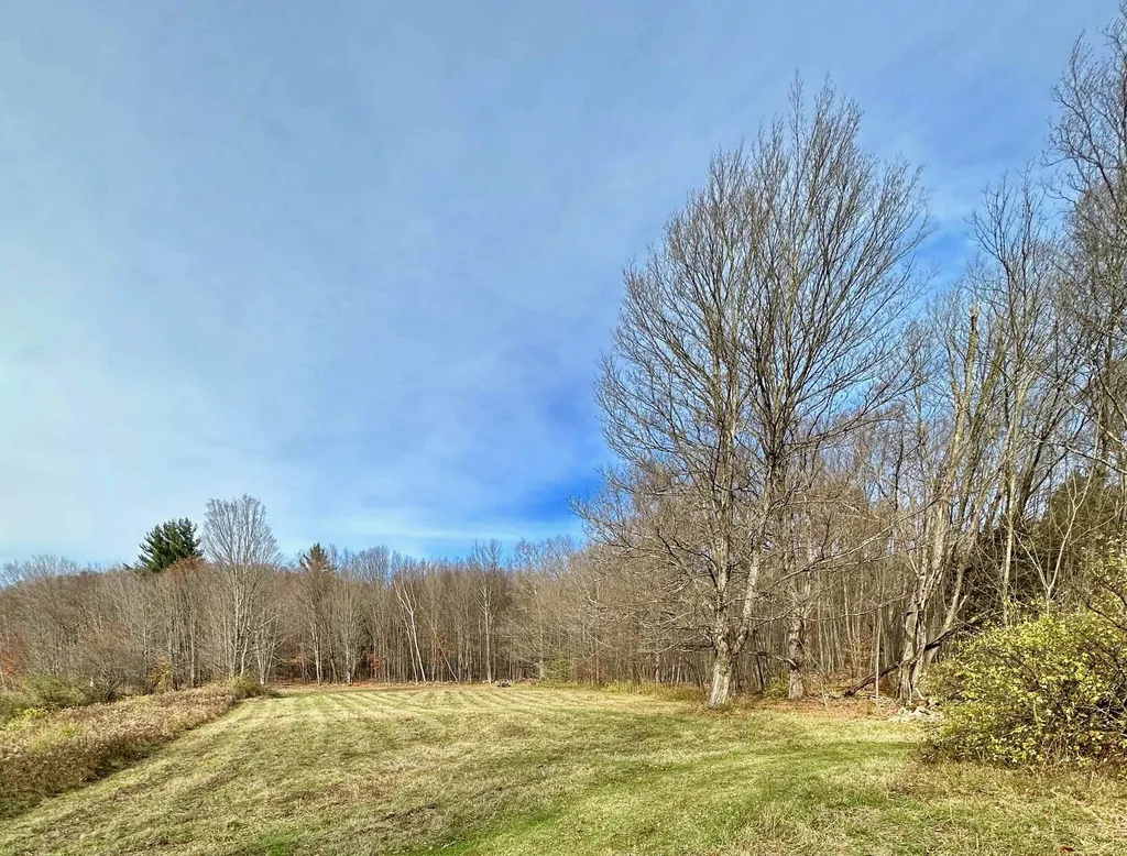 225 Danforth Drive Dorset VT 05251