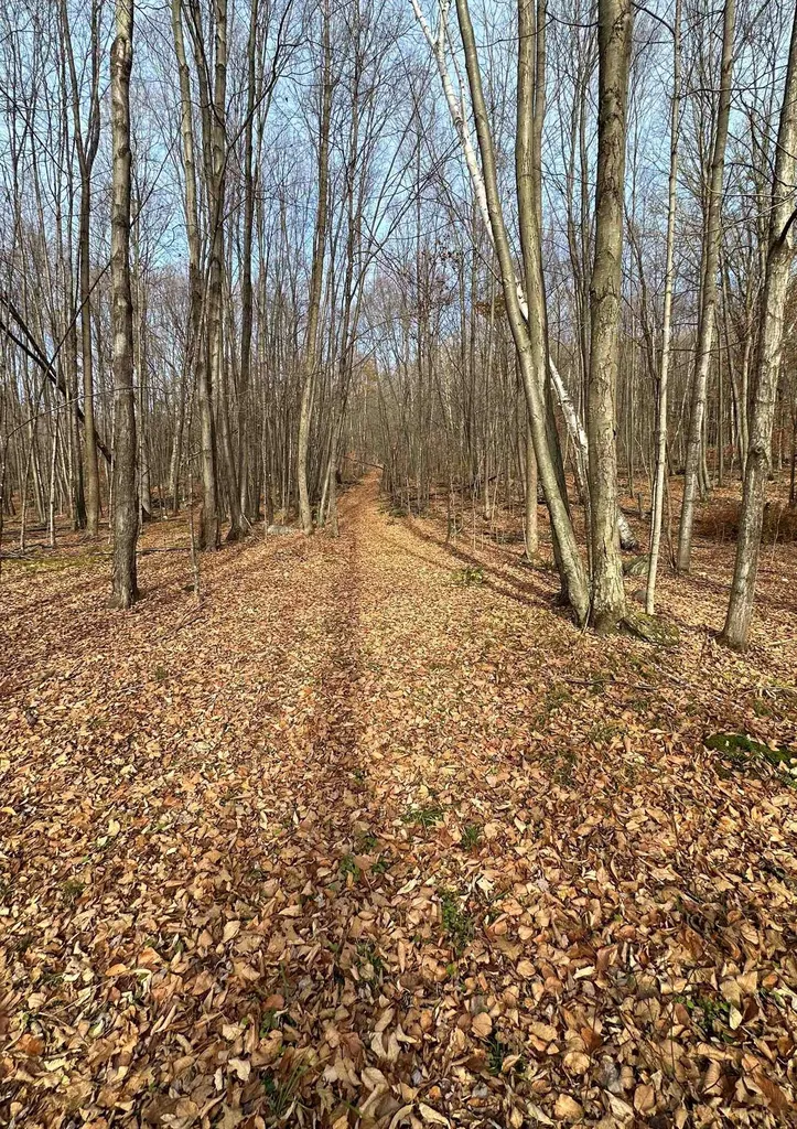 225 Danforth Drive Dorset VT 05251