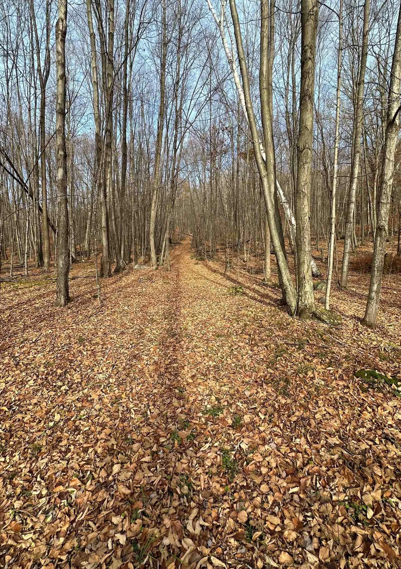 225 Danforth Drive Dorset VT 05251