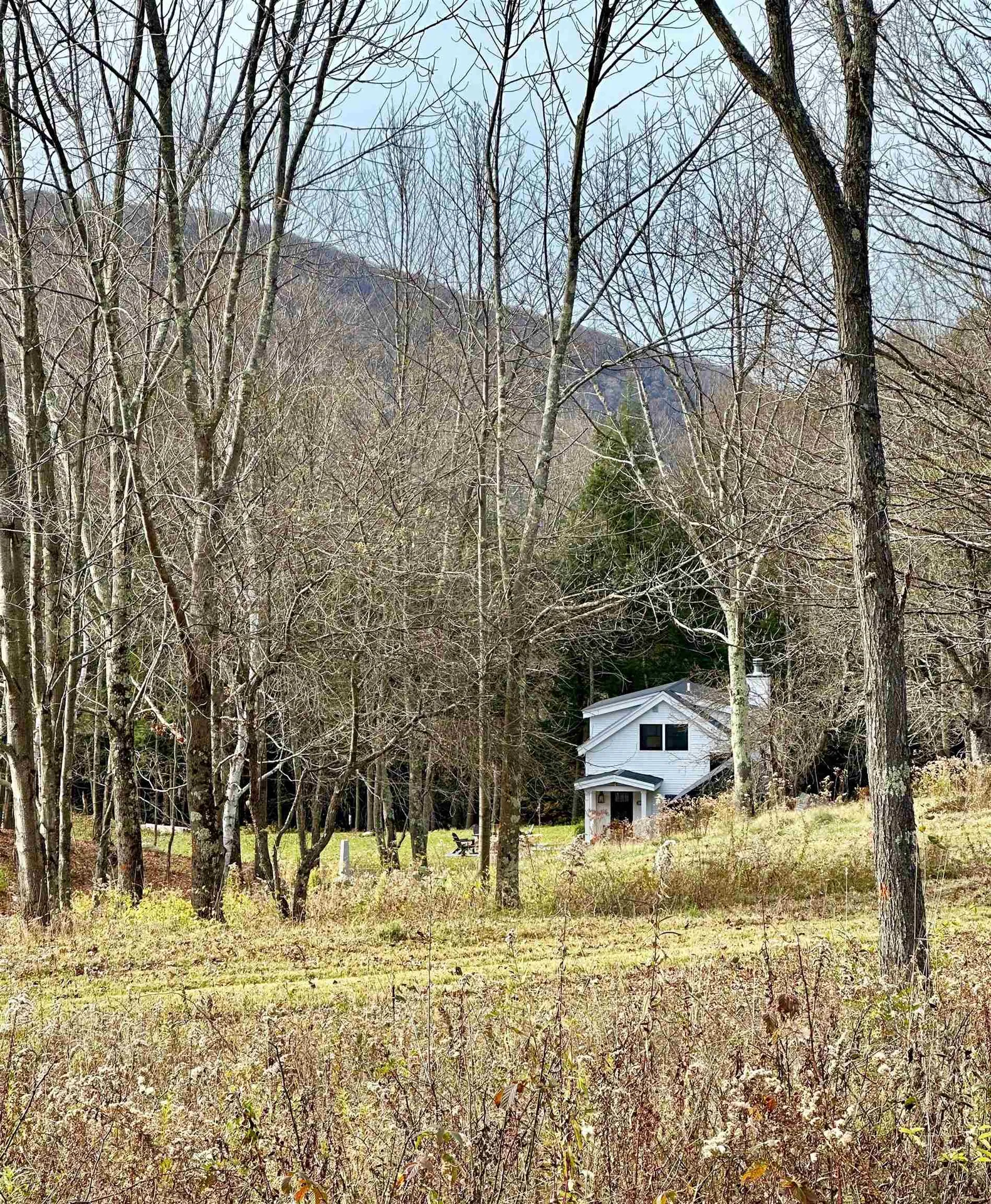 225 Danforth Drive Dorset VT 05251