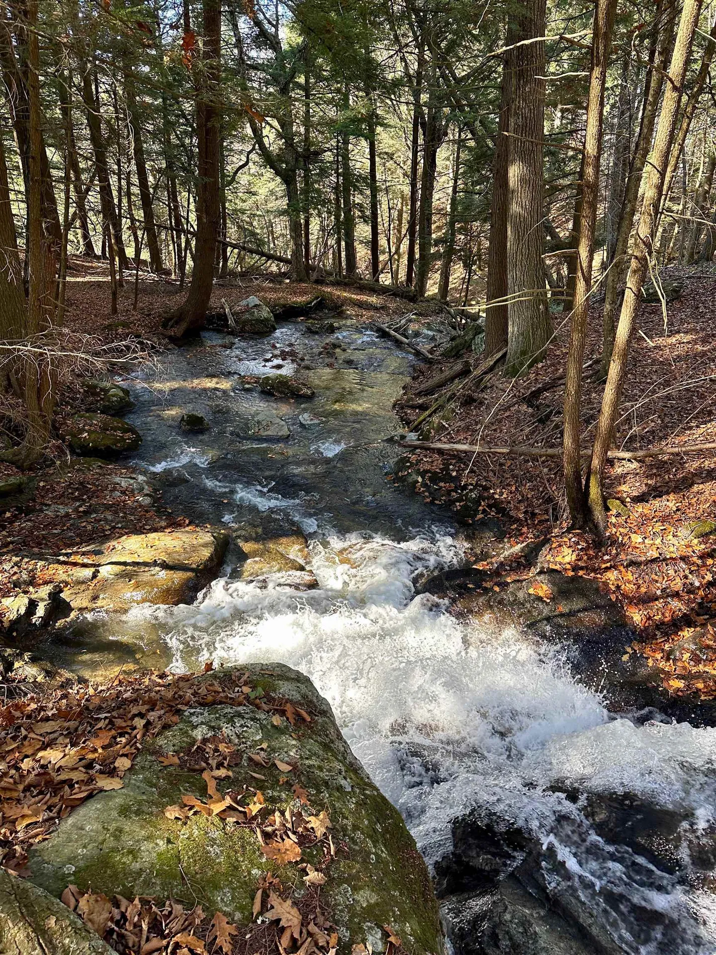 225 Danforth Drive Dorset VT 05251