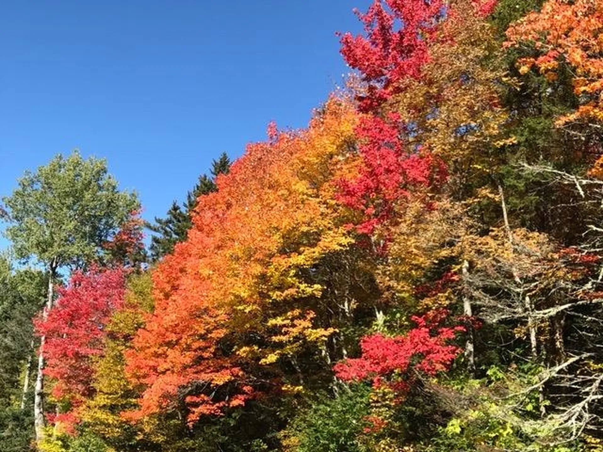 8 A Freestyle Circle Dover VT 05356