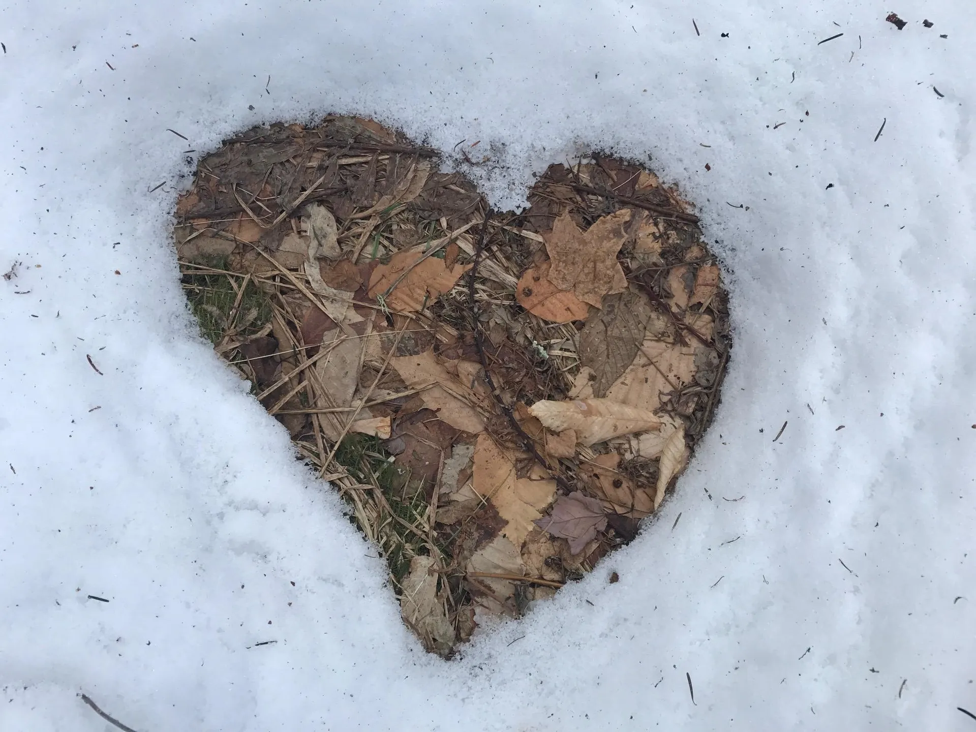 8 A Freestyle Circle Dover VT 05356