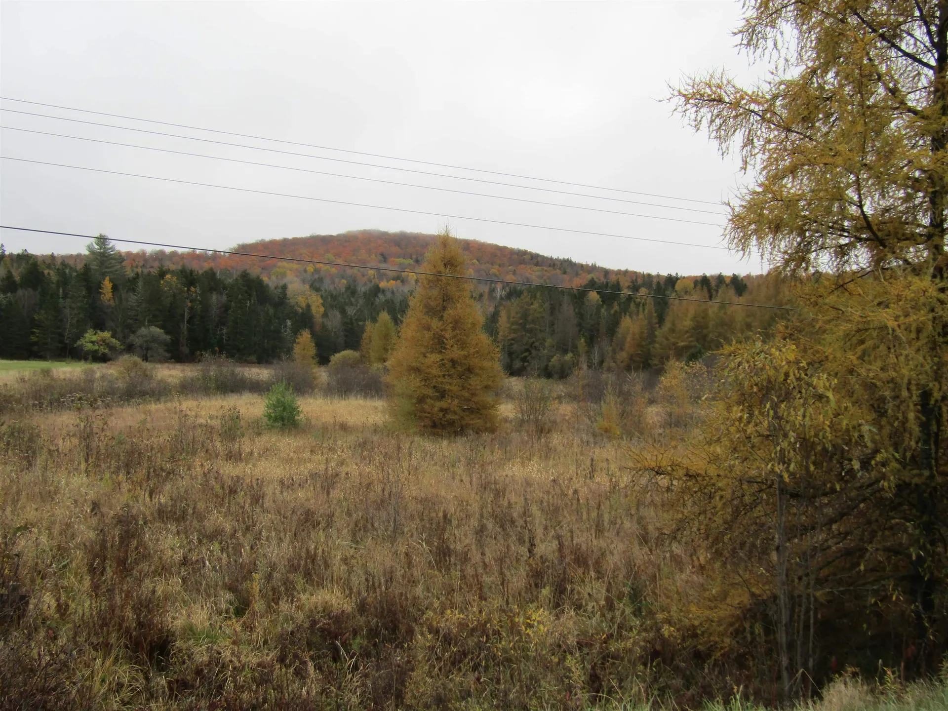 0 Reservoir Road Orange VT 05641