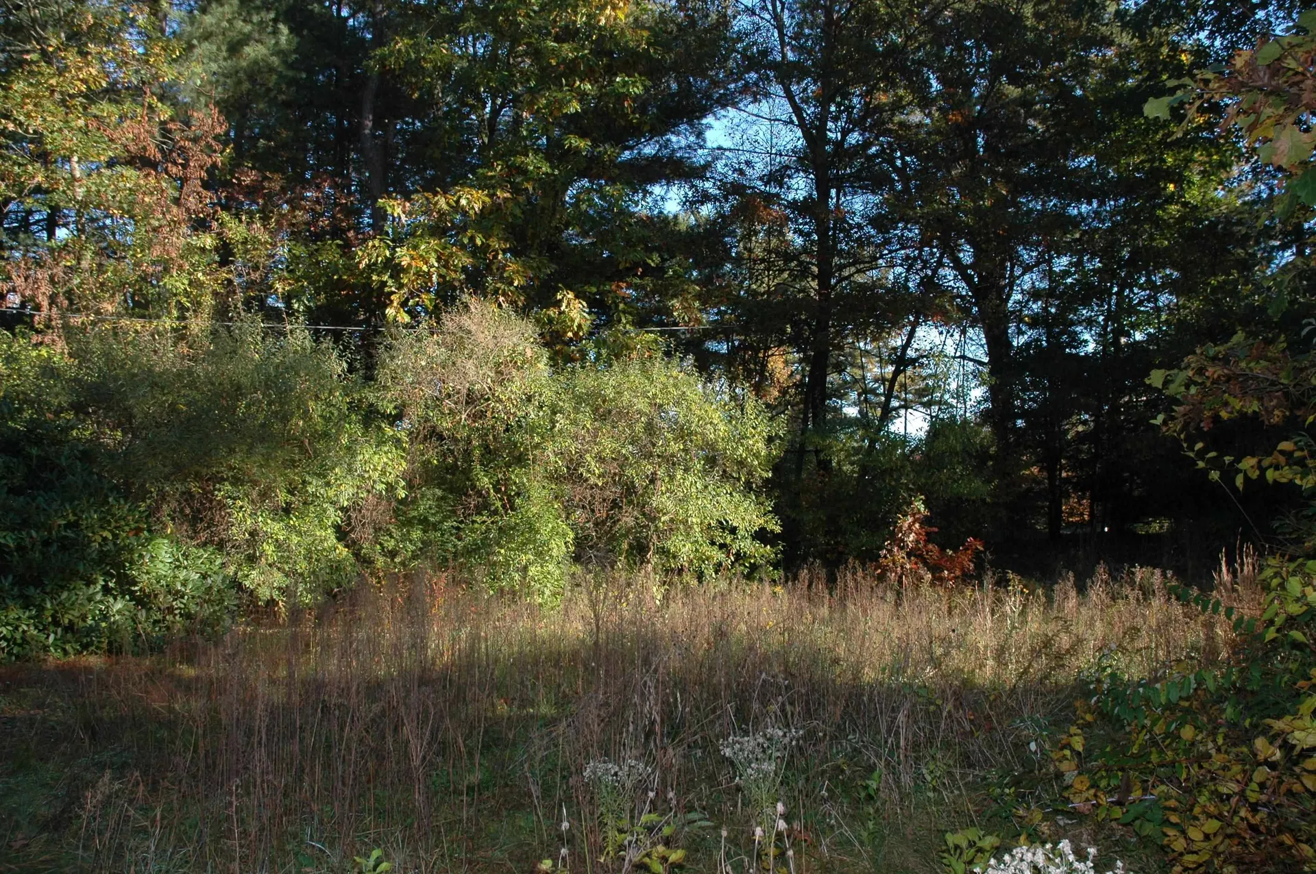 2 Rookery Way Litchfield NH 03052