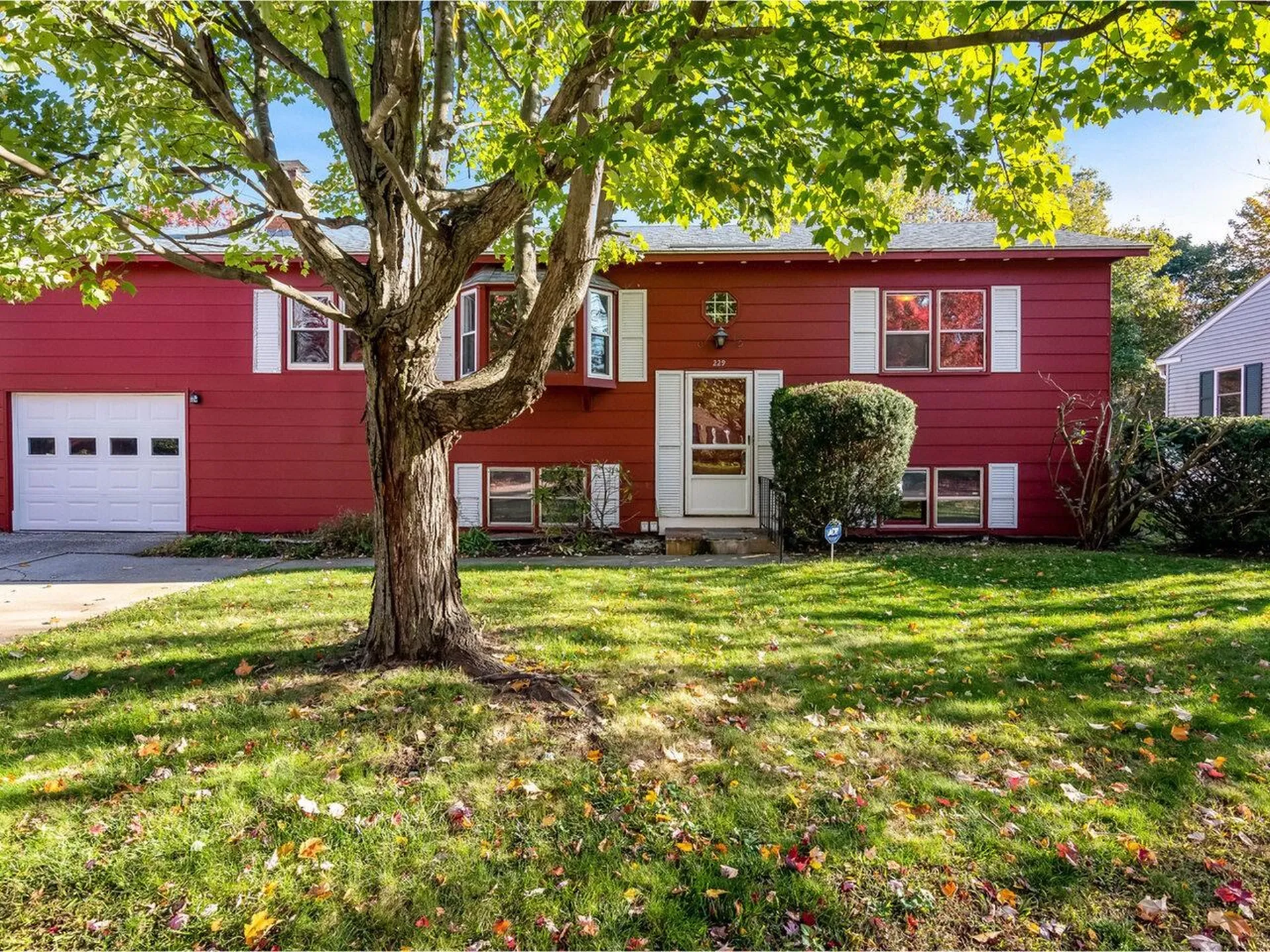 229 Curtis Avenue Burlington VT 05408