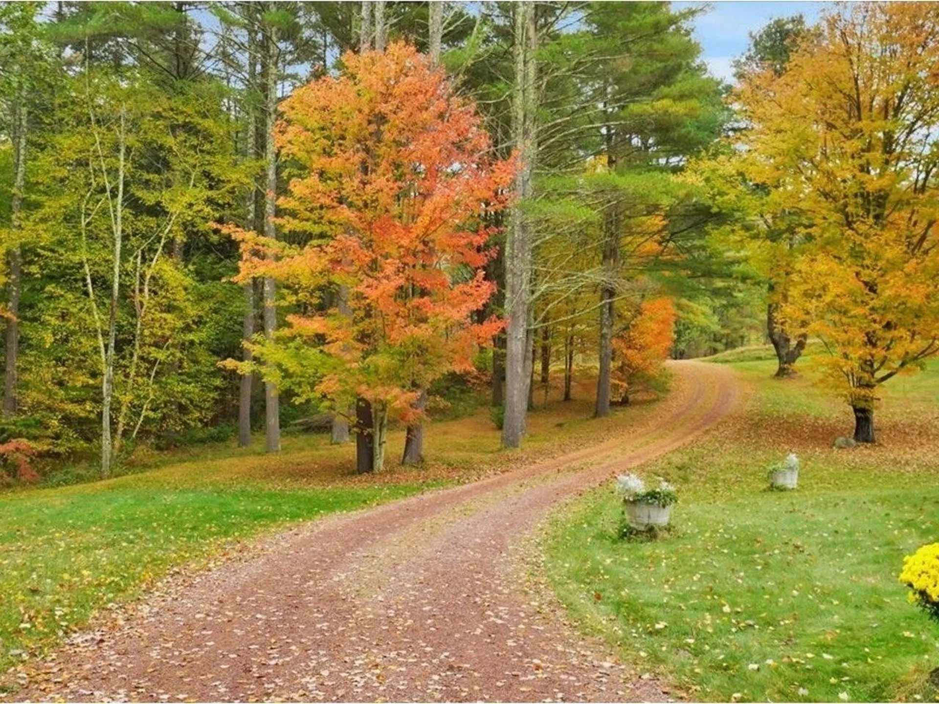 1143 Finel Hollow Road Poultney VT 05498