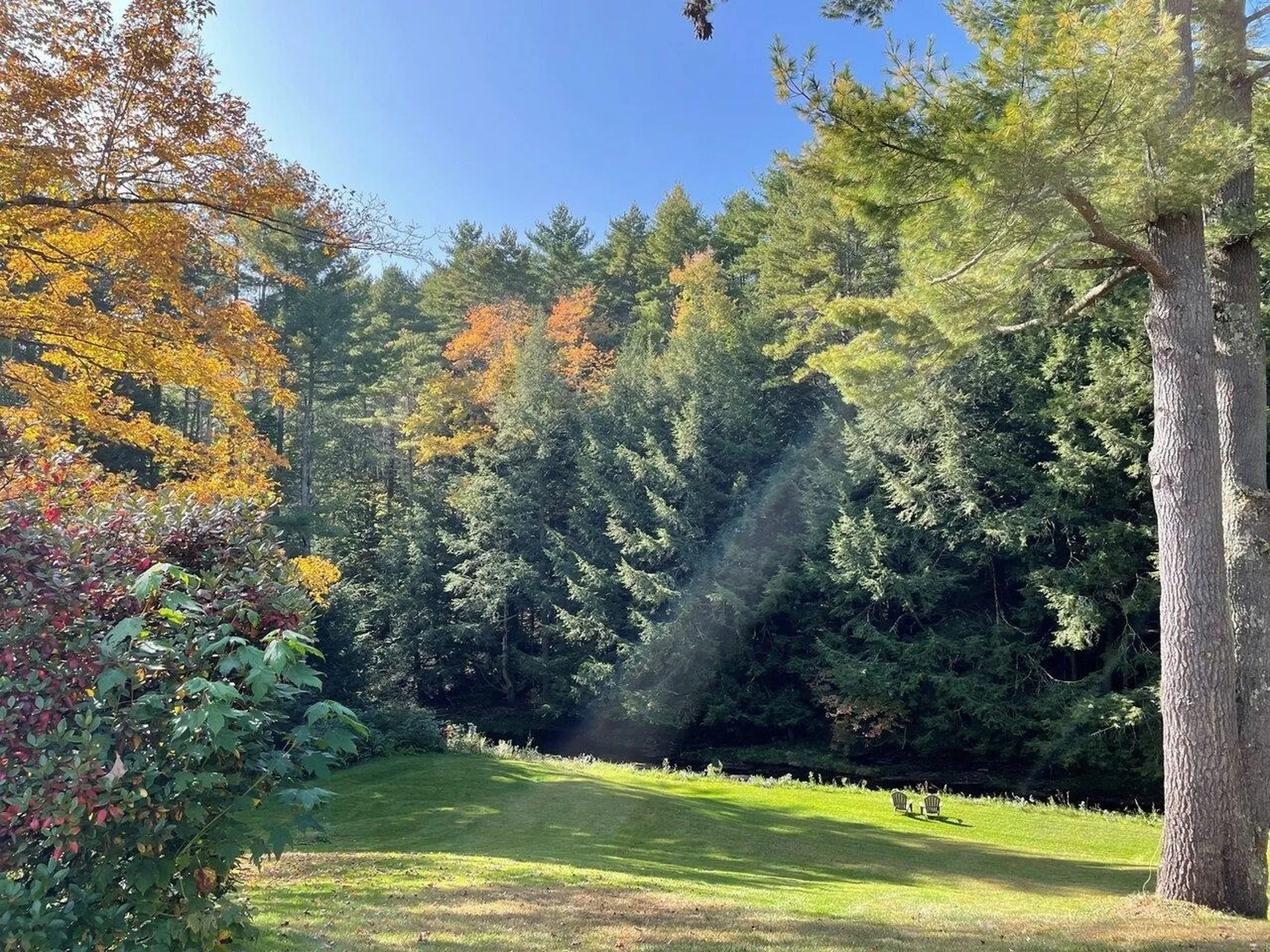 1143 Finel Hollow Road Poultney VT 05498