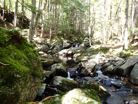 Jewell Hill Road Groton NH 03241