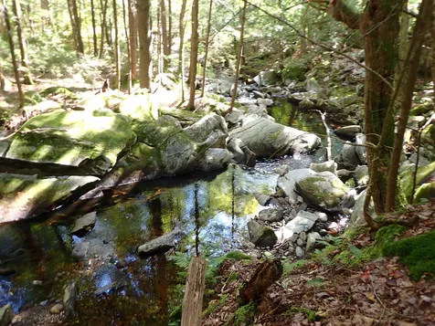 Jewell Hill Road Groton NH 03241
