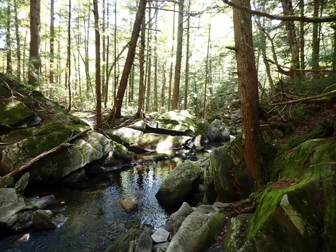 Jewell Hill Road Groton NH 03241