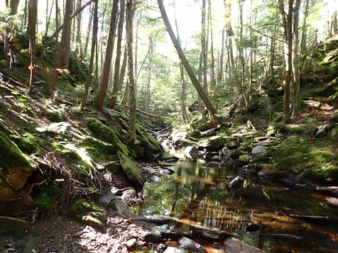 Jewell Hill Road Groton NH 03241