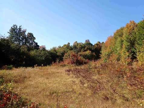 Jewell Hill Road Groton NH 03241