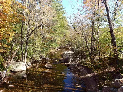 Jewell Hill Road Groton NH 03241