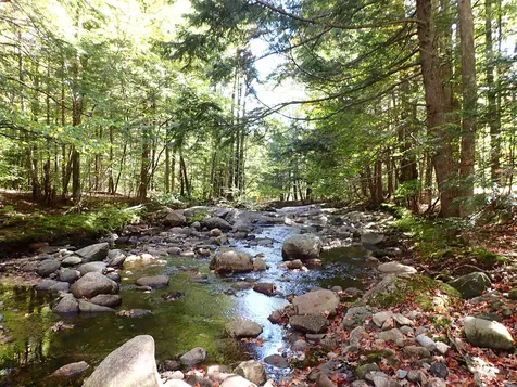 Jewell Hill Road Groton NH 03241