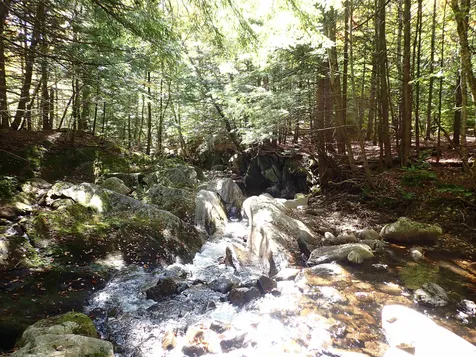 Jewell Hill Road Groton NH 03241