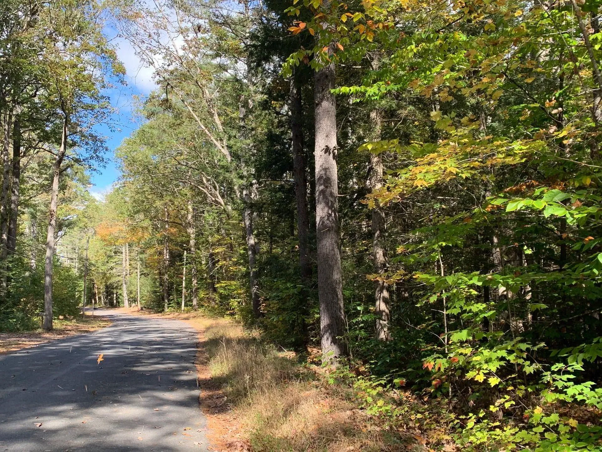 Forest Lake Road Winchester NH 03470