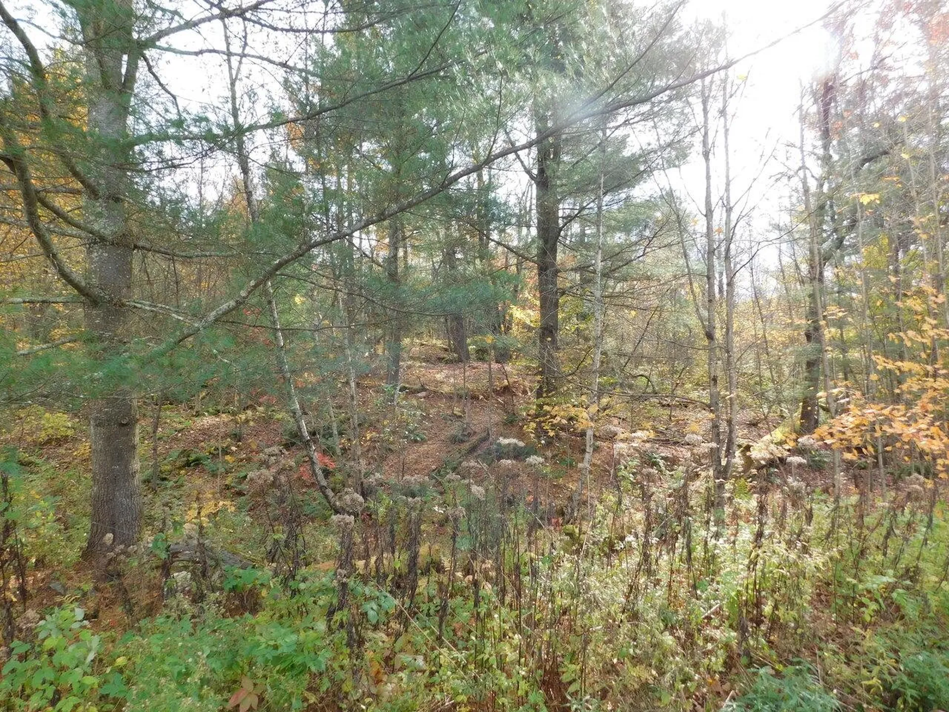 2675 Woodward Neighborhood Road Enosburg VT 05476