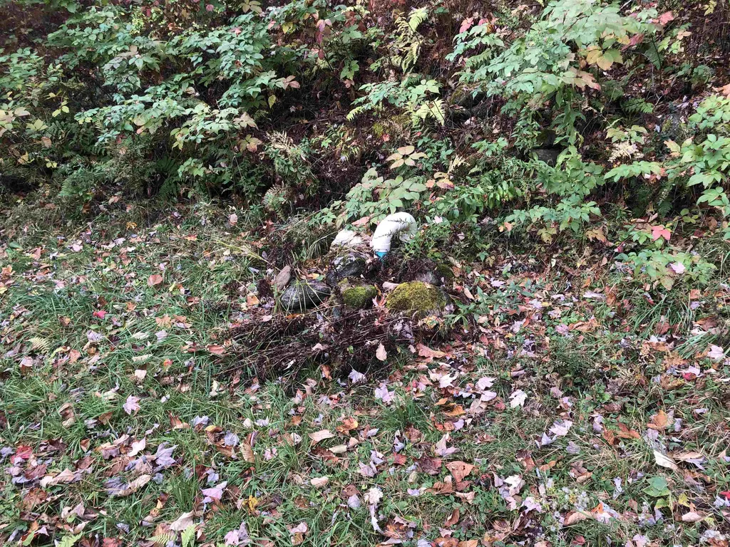 1147 Plot Road Johnson VT 05656