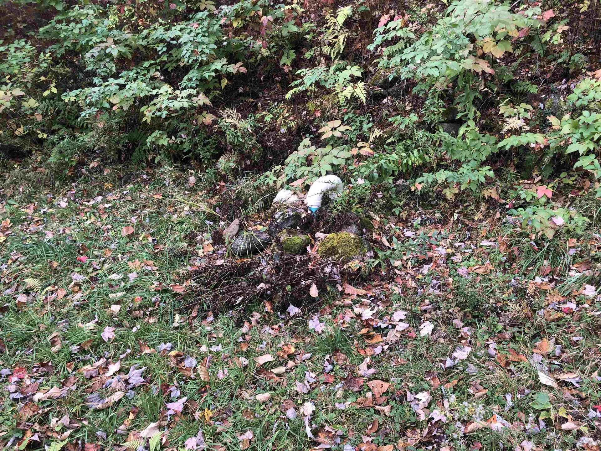 1147 Plot Road Johnson VT 05656