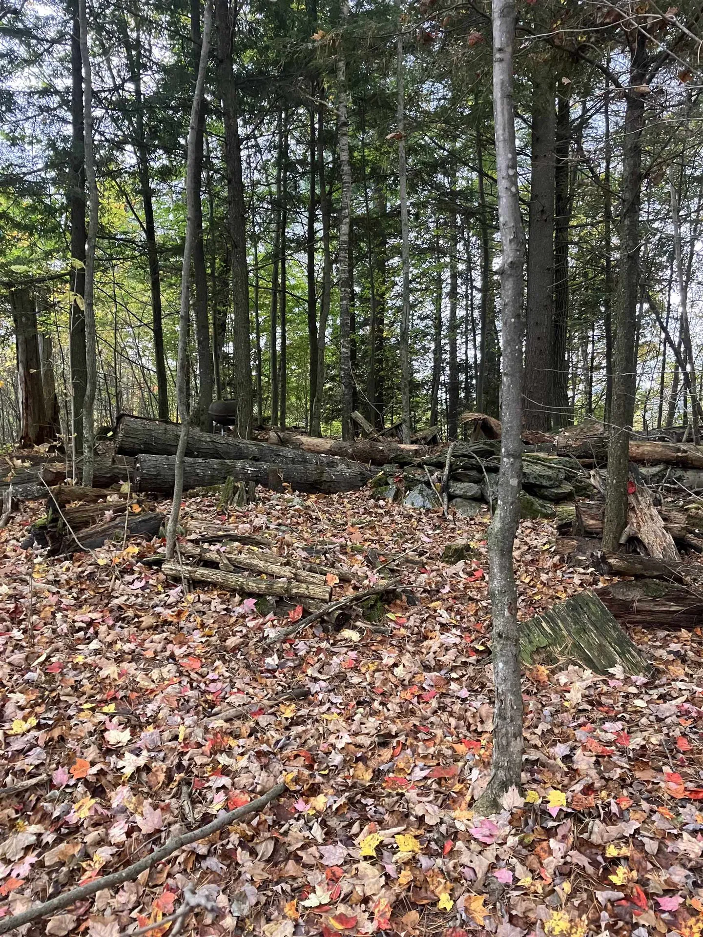1147 Plot Road Johnson VT 05656