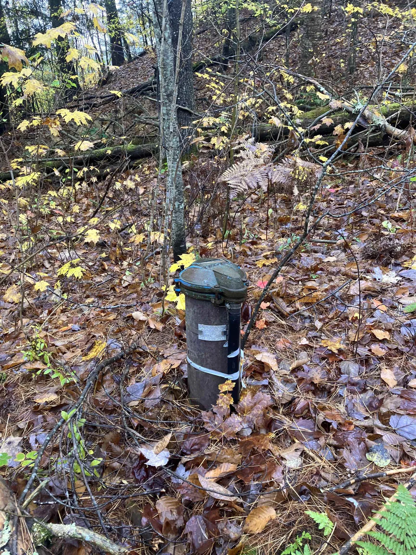 1147 Plot Road Johnson VT 05656