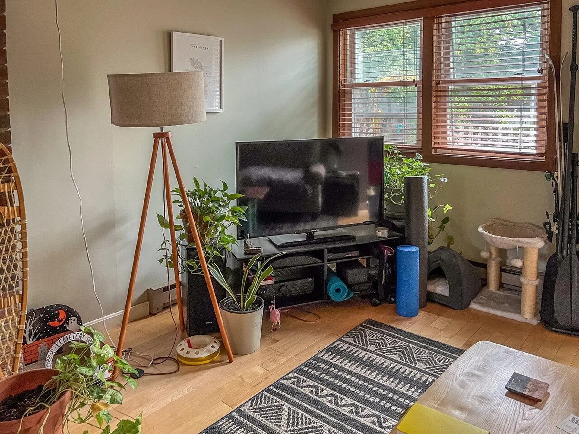 71 Rose Street Burlington VT 05401