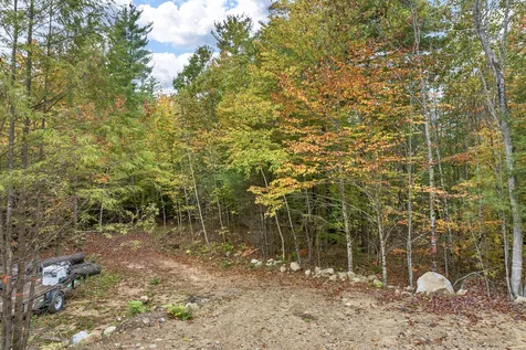 199 Molly Philbrick Road Effingham NH 03882