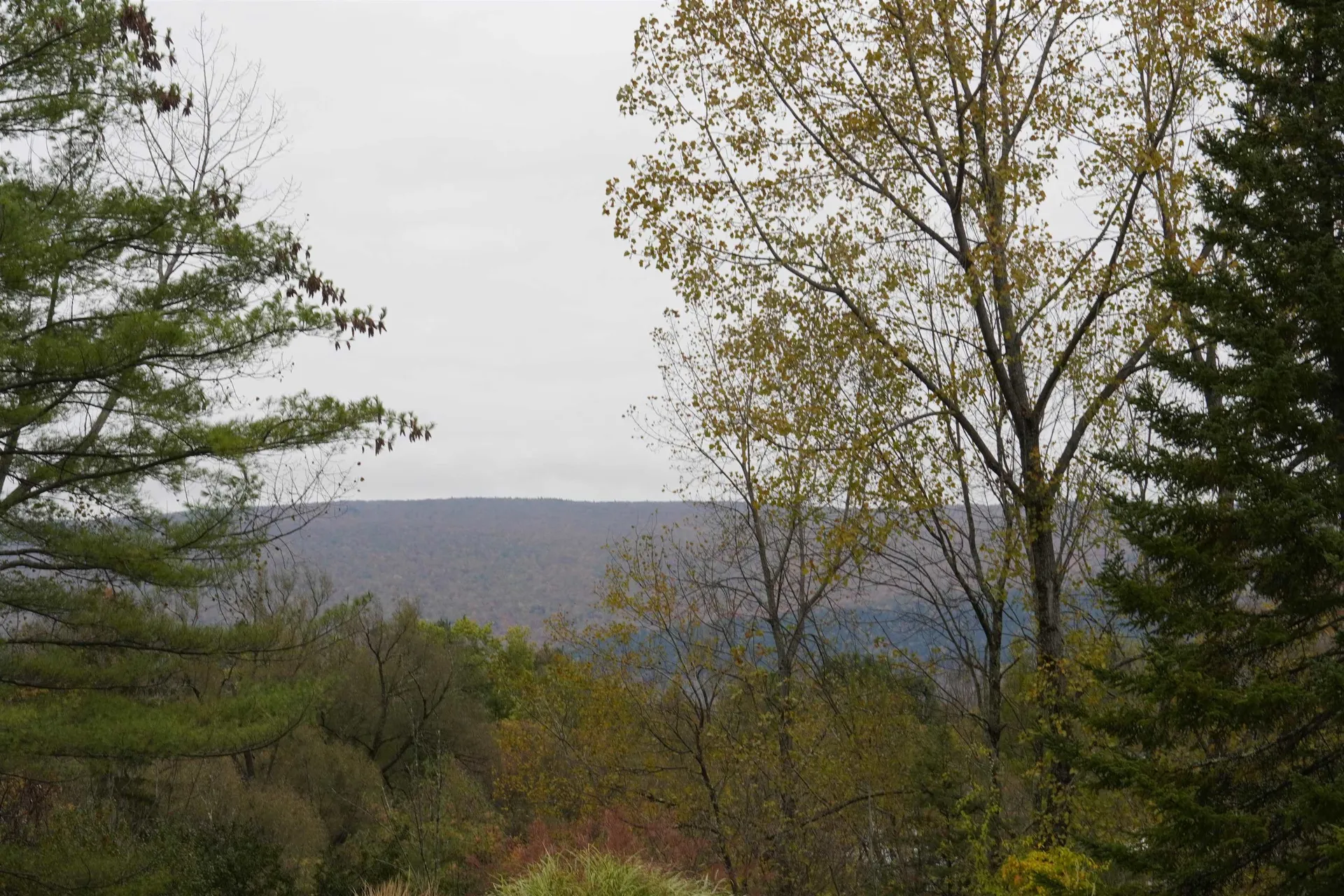 13804 Riverside Townhouses Road Manchester VT 05255